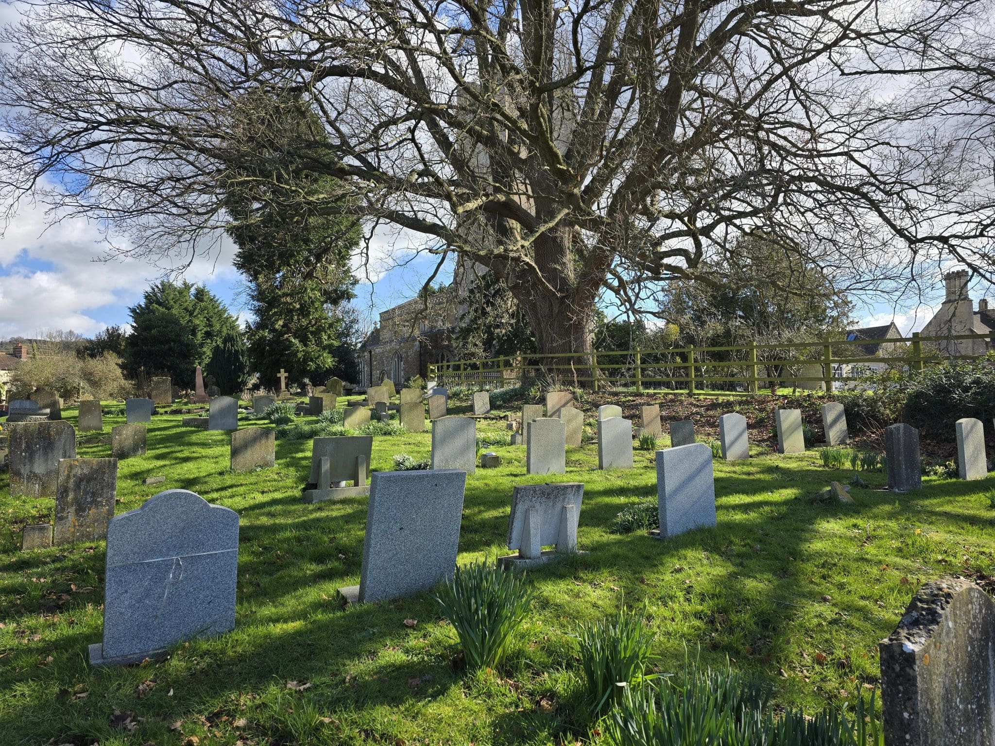 Rows of headstones are scattered across a grassy cemetery, shaded by a large, leafless tree. In the background, a wooden fence and stone buildings stand under a partly cloudy sky, illustrating the importance of ongoing grave maintenance.