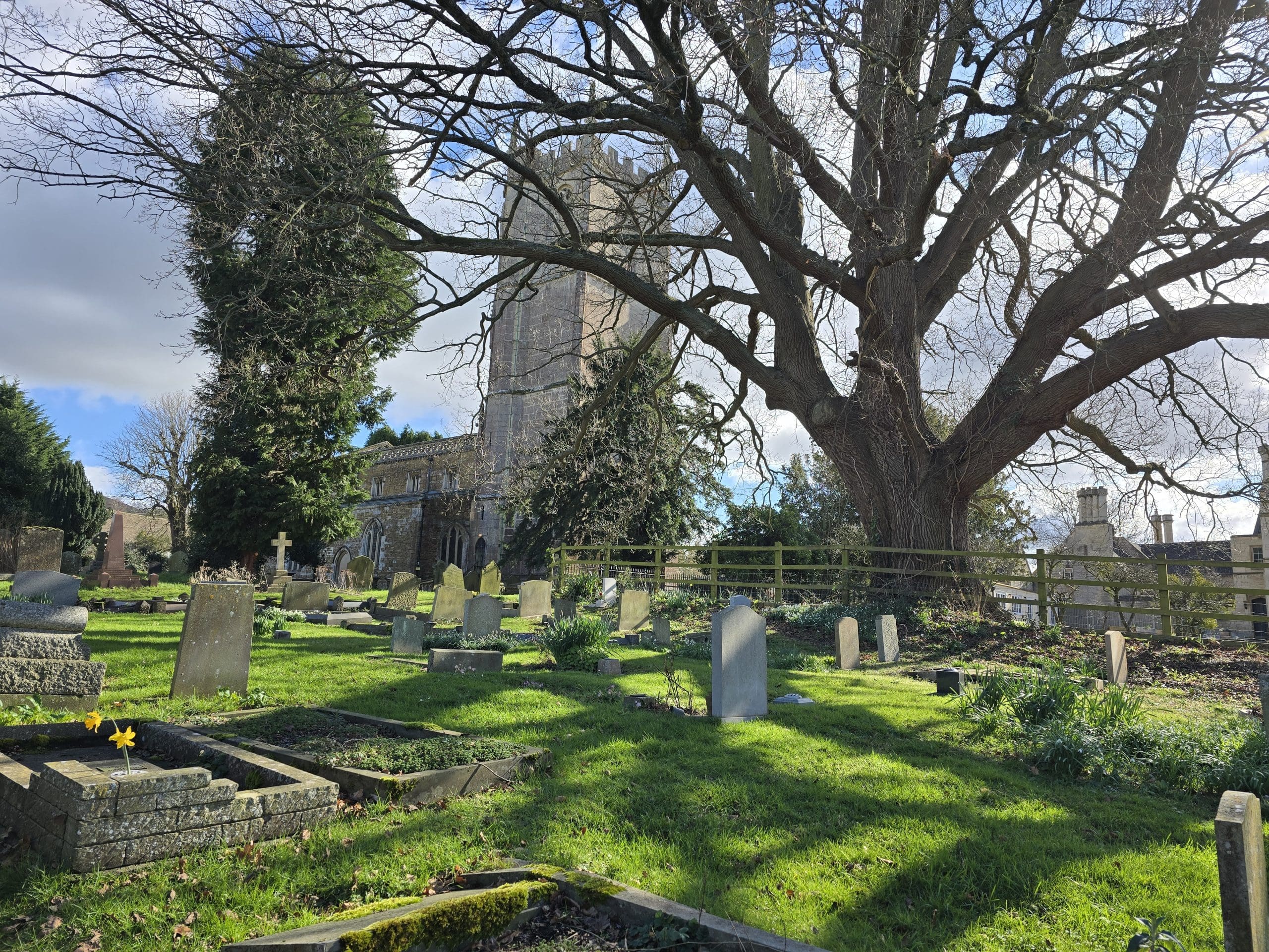 A sunlit graveyard with various headstones crafted by Memorial Masons and a large tree dominates the scene; an old stone church with a tower stands in the background under a partly cloudy sky.